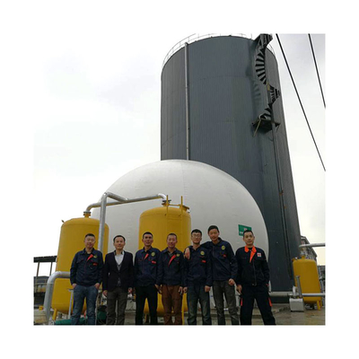 Tangki Digester Kotoran Babi Biogas Kapasitas Digester Anaerobik