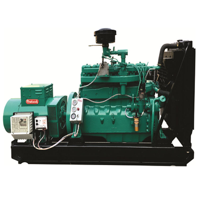 Biogas Power Generator Low Noise untuk Pabrik Pengolahan Cat Semprot