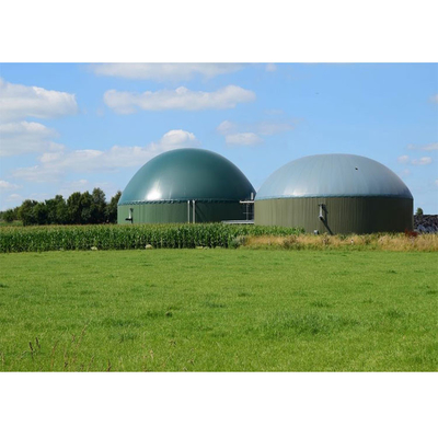 Pemegang Gas Biogas Pengolahan Permukaan Khusus untuk Biogas dan Air Limbah