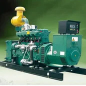 Tingkat kebisingan rendah Generator Listrik Biogas Digestion Anaerobik