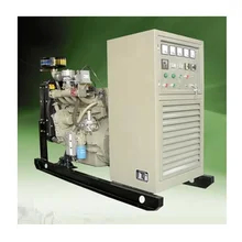 Cat semprot Biogas Generator Listrik Jenis bahan bakar Biogas