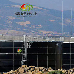 Anaerobic Fluidized Bed Reactor UASB Biogas Dari Kotoran Ayam