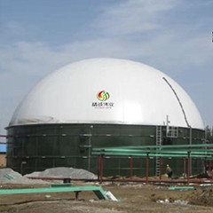 EGSB Anaerobic Reaktor Pengolahan Air Limbah Kotoran Methane Digester