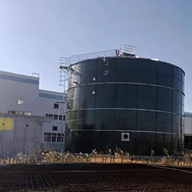 EGSB Anaerobic Reaktor Pengolahan Air Limbah Kotoran Methane Digester