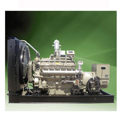 Generator Biomassa 5KW Generator Listrik Biogas 50HZ / 60HZ