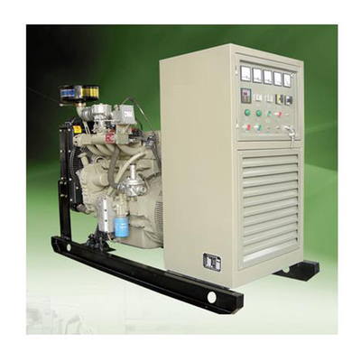 Generator Biomassa 5KW Generator Listrik Biogas 50HZ / 60HZ